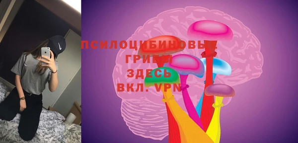 соль ск Алексин