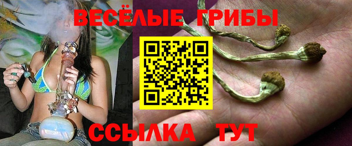 Подольск  Галлюциногенные грибы прущие грибы  Вход с VPN 